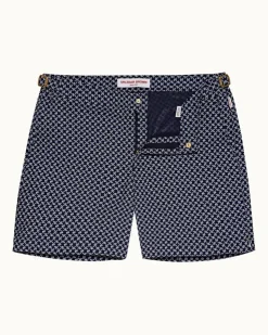 Bulldog- Discount