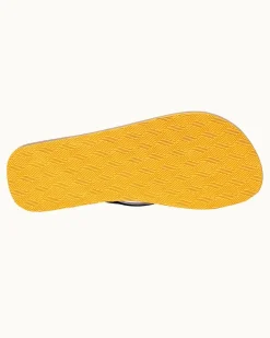 Haston Cork- Best