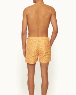 Setter- Discount