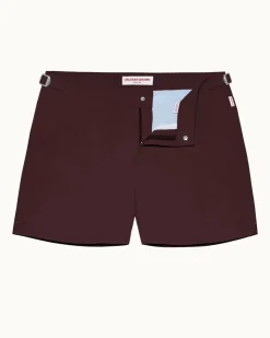 Setter- Sale
