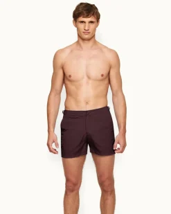 Setter- Sale