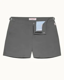 Setter- Sale