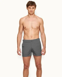 Setter- Sale