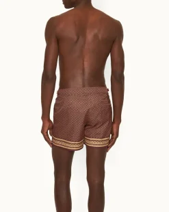 Setter- Discount