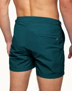 Setter- Hot